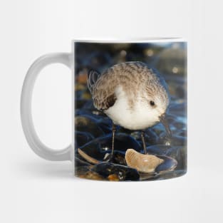 Cute Sanderling Dines on Tasty Clam Mug